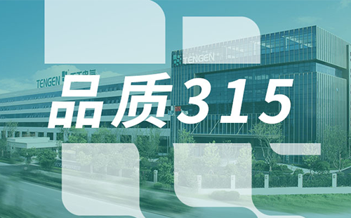 品質315，天正樹立斷路器品控標桿