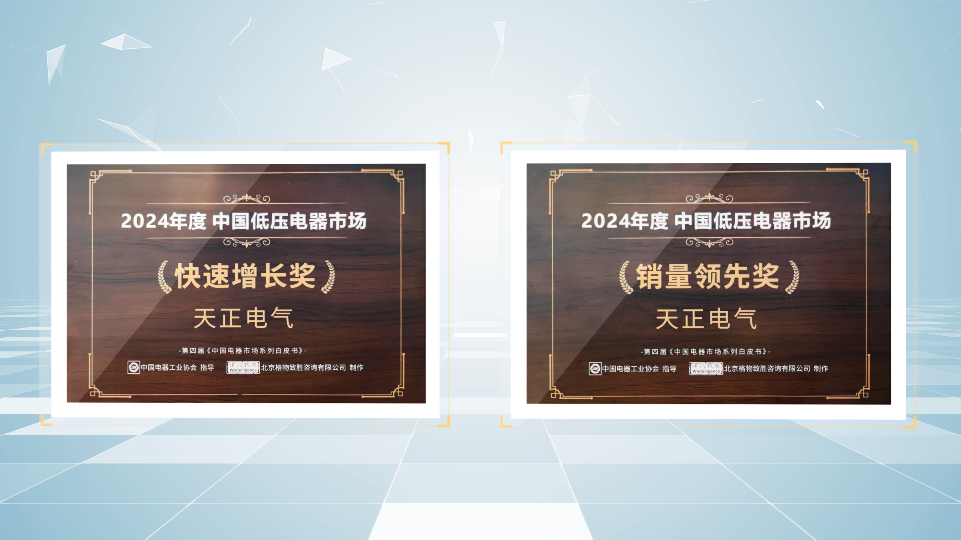 銷量領(lǐng)先、快速增長丨天正榮膺2項行業(yè)年度大獎